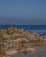 Rocky point at Turner Beach, Captiva Island Florida